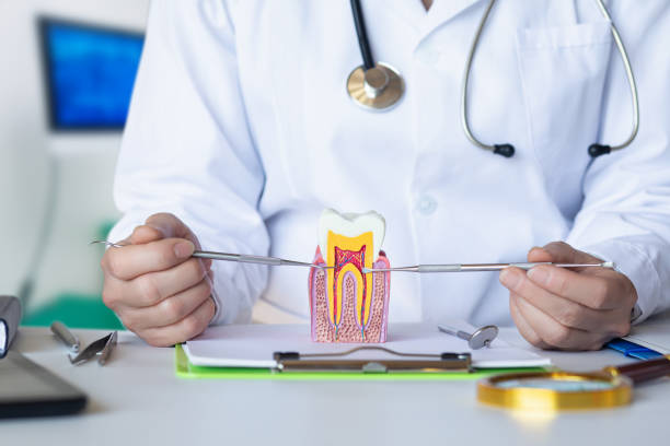 Best Emergency Treatment for Jaw Pain or Injury in Hays, MT